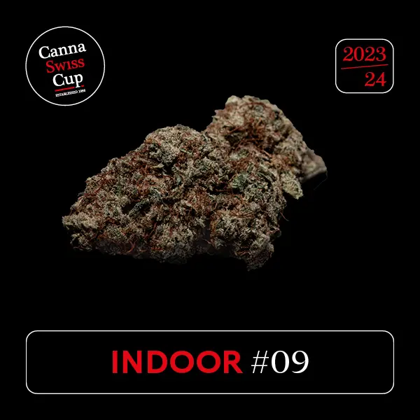 Iwazaru | Fleurs CBD